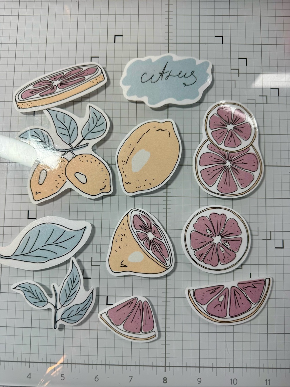 Citrus Laminated Stickers